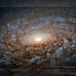 In the Center of Spiral Galaxy NGC 3521 #nasa #apod #esa #hubble #spiral #galaxy #spiralgalaxy #ngc3521 #universe #science #space #astronomy