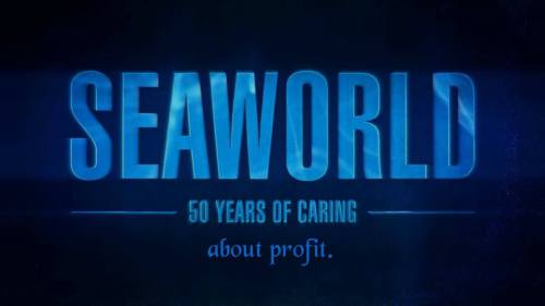 sit2beats:twostarsandstripes:freedomforwhales:You give this corporation your money, you’re the one paying for the abuse to continue.  Yeah, shut down SeaWorld. These animals need their freedom.  Down with SeaWorld  Can anyone explain to me what happened