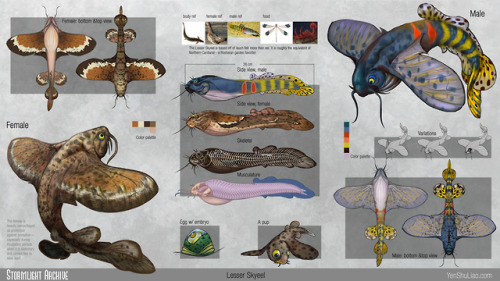 Here are the final designs for the lesser skyeel, whose sexual dimorphism is based off of something 