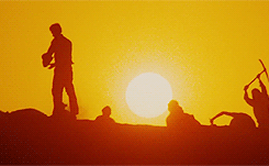 27thdoctor:  Raiders of the Lost Ark (1981) 