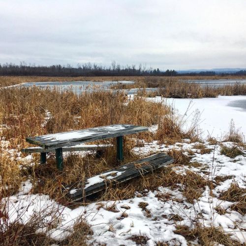 . . . #nature #naturephotography #winter #frozenpond #mountains #outdoors #outdoorphotography #snow 