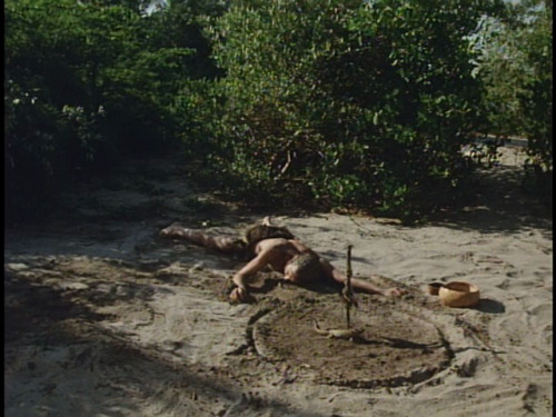 madamebeudet:cabeza de vaca nicolás echevarría (1991)