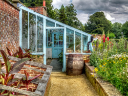 unnamed-cat:  Steve Woodmore - Charles Darwin’s Greenhouse Home of Charles Darwin, Down House, an English Heritage property, Downe, Orpington, Kent. 