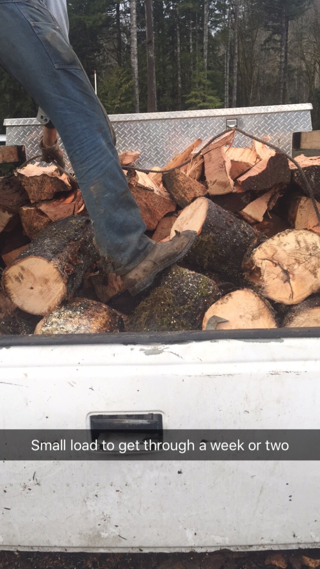 Little firewood adventure , loving my pnw life. Who doesn&rsquo;t love a man