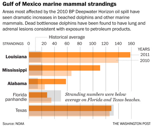 Scientists: BP’s Deepwater Horizon oil spill is sending many dolphins to watery graves Areas m