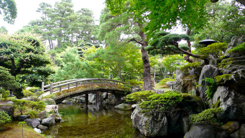 Kyōto Imperial Palace (京都御所)