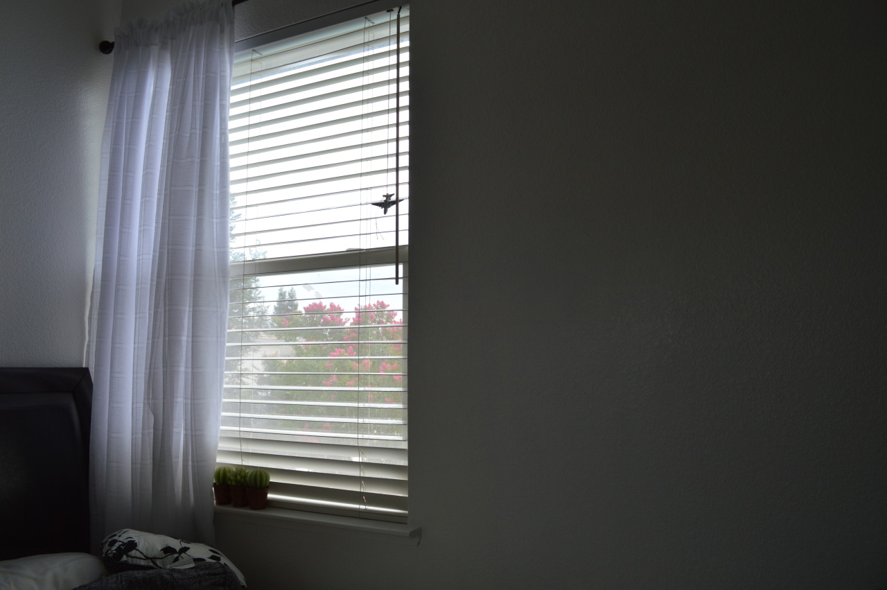 haunth: my room’s aesthetic game is so strong rn 