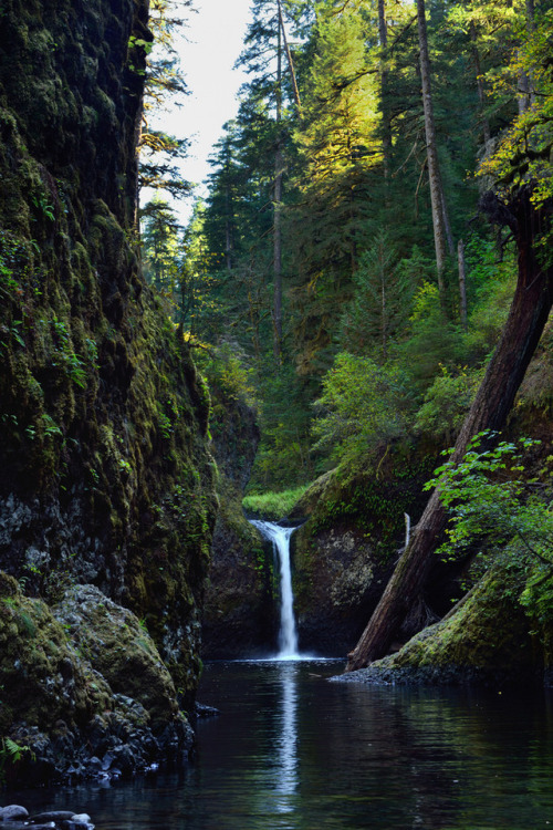 wanderthewood: Punchbowl Falls, Columbia River Gorge, Oregon by thor_mark