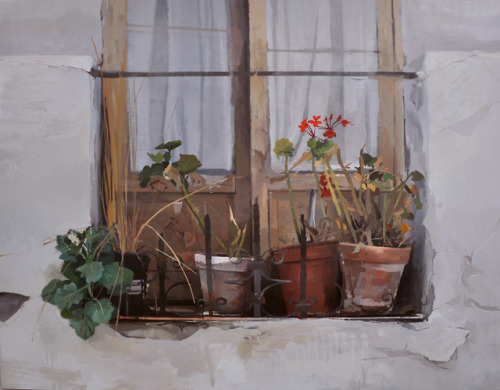 Potted plants    -    Antonio BarahonaSpanish,b.1984-Oil on canvas