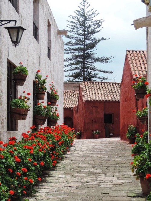 Calle interior de la Monasterio de Santa Catalina, Arequipa, 2017.