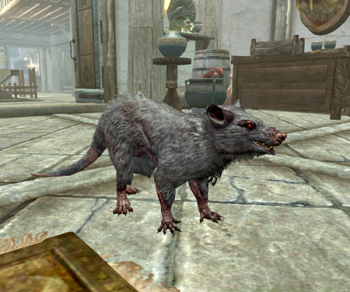 evil-is-relative: rodent-of-the-day: Today’s Rodent of the Day: Skeevers from Skyrim I ju