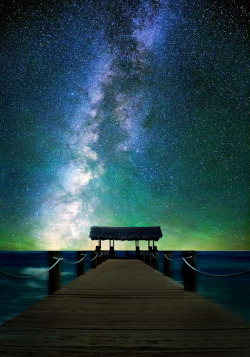 drxgonfly:  Looking at the Stars (by Will Henfield (Deaf))  