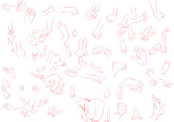 rafchu:   Hands studies.Because hands are