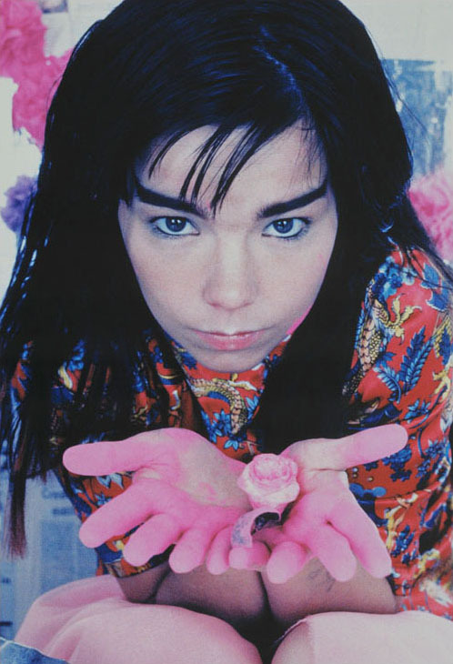 sindads:  Björk by Kate Garner