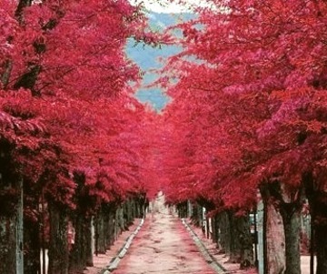 Burgundy Street, Madrid, Spain