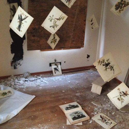 This was when I did a installation piece in highschool.