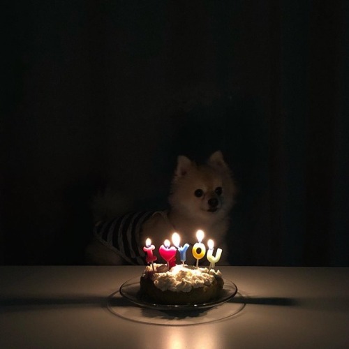 yuj1ns:www.instagram.com/p/BcCpIIvAAHe/