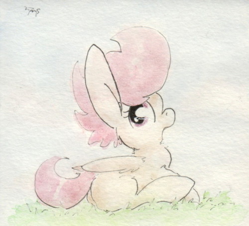 slightlyshade:This is a cool little pony. ^w^