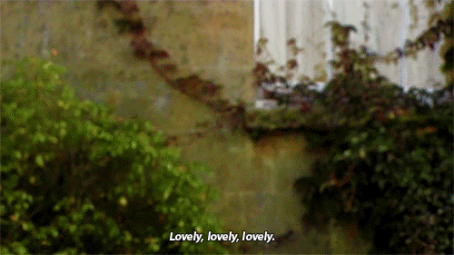 Lover