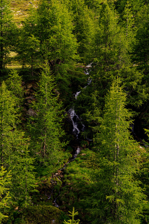 Forest waterfall - Tour de Monte Rosa, July 2021photo by: nature-hiking