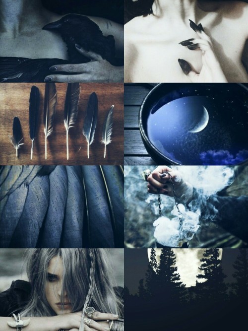 kinstethic: Bird Fae aesthetic