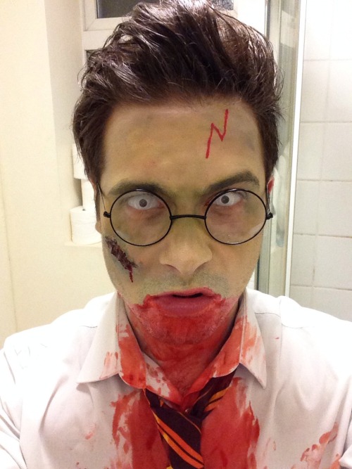 yelyahwilliams:  istillloveparamore:  mynameisreece:  if harry actually died…  Hayley loves Harry Potter + Zombies so I feel like she would appreciate this  😄 I do. I do appreciate this.