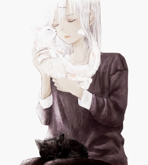 illustration by shirone