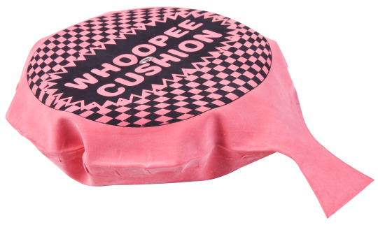 APRIL FOOL YOU SAT ON THE WHOOPEEE CUSHION!!!!!!!!!!!!!!!!!!!!!!!!!!!!!!!!!!!!!!!!!11