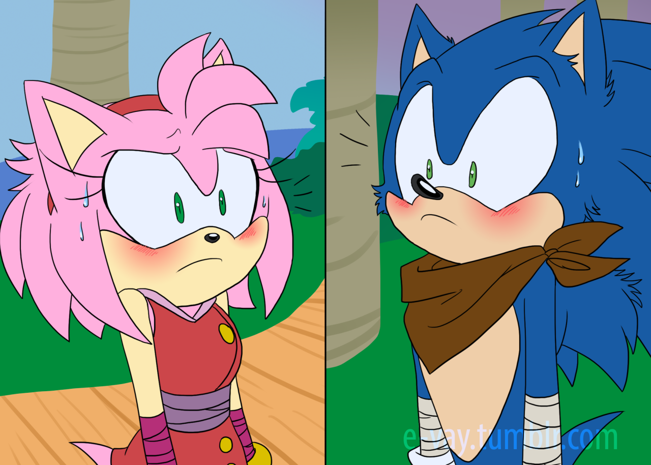 Sonamy Boom  Sonic and amy, Sonic boom, Hedgehog art