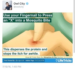 himteckerjam:  companionwolf:  naturaldaisaster:  nothing is quite as Good and Pure as owl city trying to protect his fans from the mosquitoes  His name is Adam Young and he is my fave.   Don’t even do all that and just run water as hot as you can handle