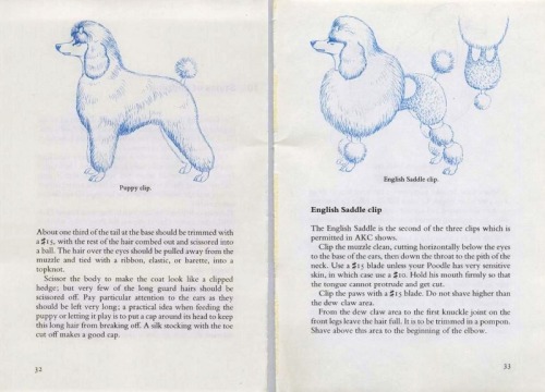 Know How To Clip A Poodle, 1962