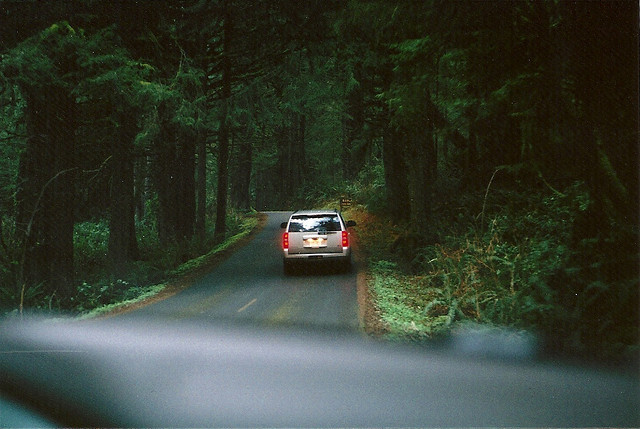 englishsnow: Saria Dy