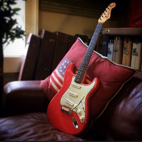 Just Fender Stratocasters