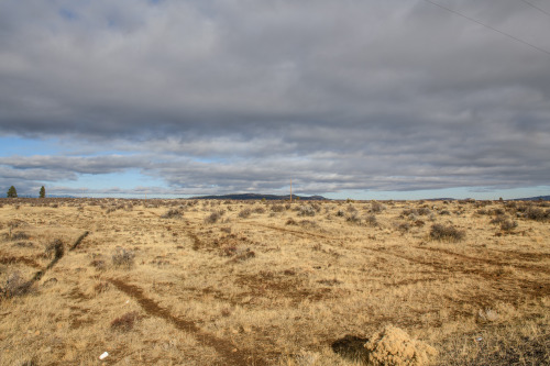 johnhopkinsphotography:Somewhere in NowhereNovember 28, 2020Having grown up on suburaban Long Island