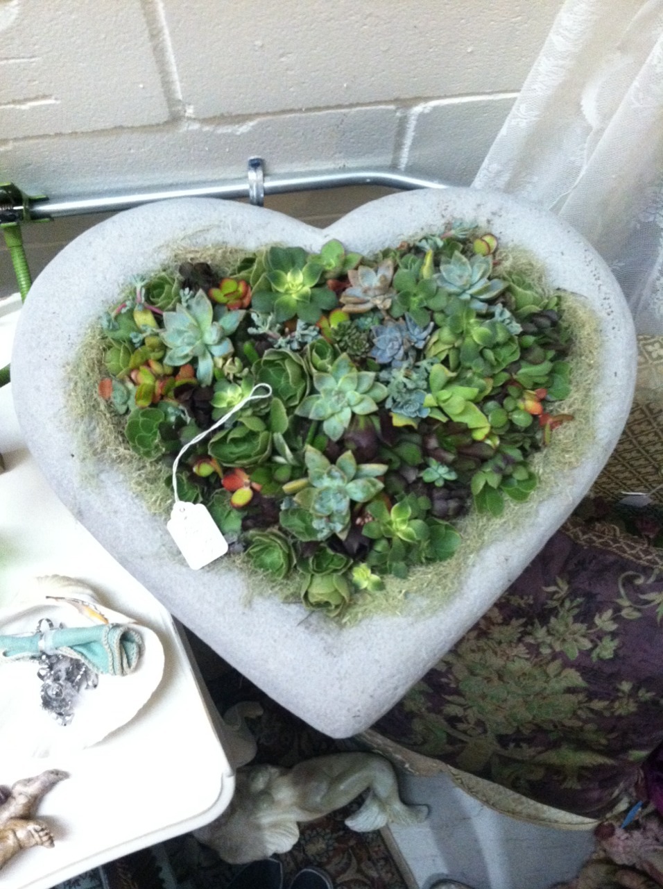 ginger-necrophiliac:  saw this super cute succulent garden today at the vintage market!