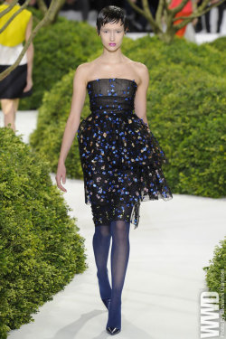     Dior Haute Couture Spring 2013  