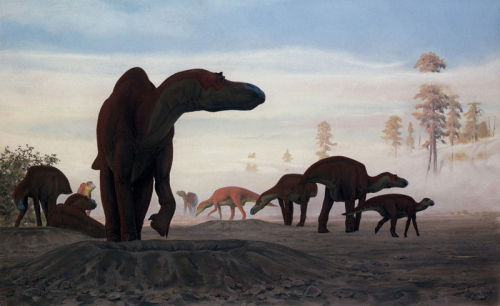 Maiasaura by Doug Henderson