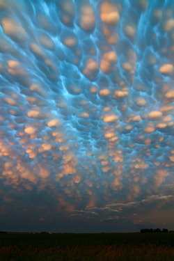 vurtual:  Rest your weary head, child, on the pillows of angels, Nebraska(by brettnickeson) 