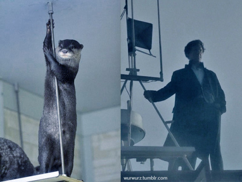 wurwurz:The “otter thing” part 9 (one of my favs !) ALL comparisons have been found and done by me. 