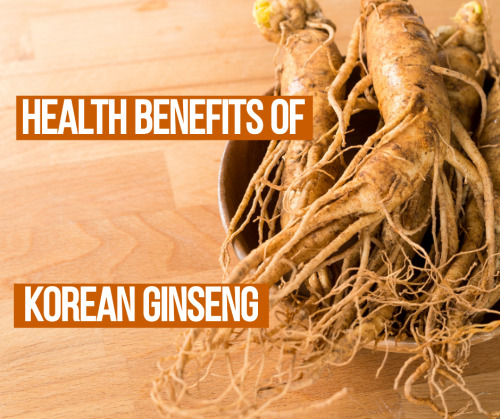 Amazing Health Benefits Of Korean Ginseng youtu.be/KJWusSxdtmM