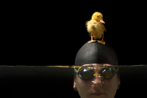 vaithne:guspatoot:jacobtrueman:88floors:Lauren + Fluffy in Juan Osorios friendship photography serie