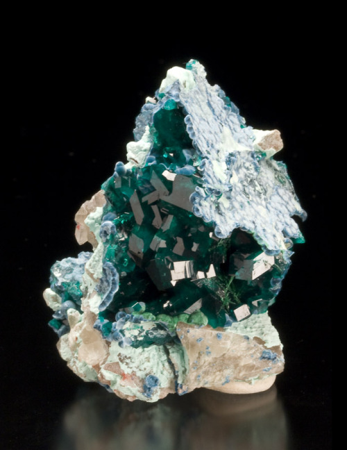 fuckyeahmineralogy:  Dioptase with shattuckite; Kaokoveld, Kunene, Namibia
