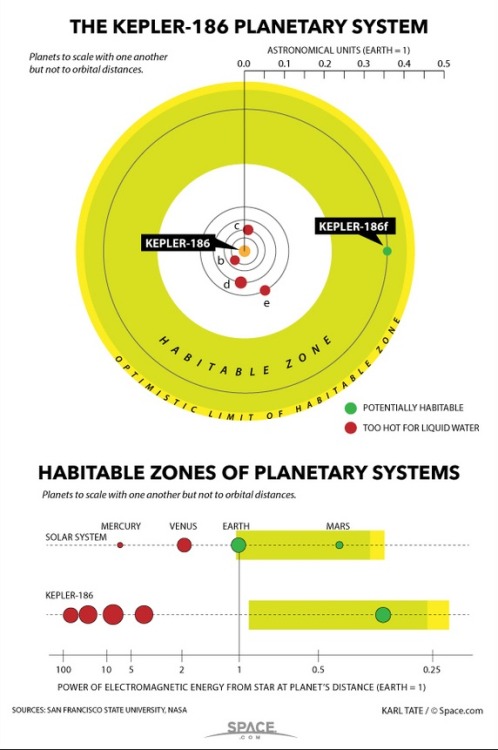 mucholderthen: Found! First Earth-Size Planet That Could Potentially Support LifeAstronomers have di