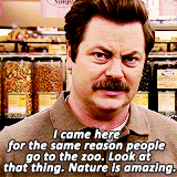 humorous-blog:  ▒ 