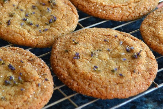 Lavender & Honey Cookie Recipe - Lovely Greens