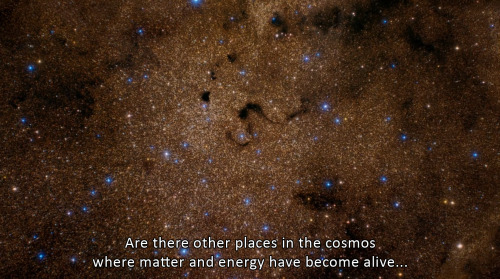 sci-universe:Neil’s words from the last episode of “Cosmos: A Spacetime Odyssey”