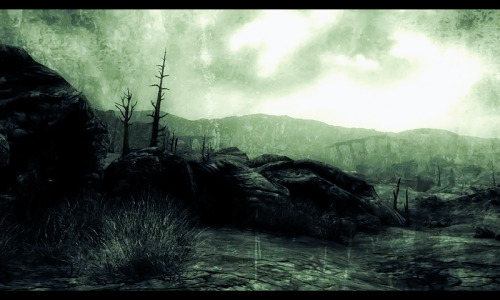 XXX nadzicle:  Fallout 3→ Opening Scene  photo