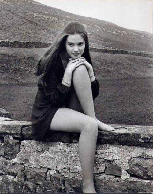 sweetheartsandcharacters - Lynne Frederick (1954–1994).