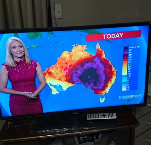 awed-frog: starrose17:  cursedwateringcan: Look at this shit guys. Look at this. That blue area, that’s 45+ degrees, likely 50 in that area. That’s 122 Fahrenheit. Her face just says, “Well….if any of you survive I’ll be here same time tomorrow.”