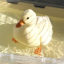 differentanchorduck